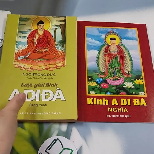 Lược Giải Kinh A Di Đà (Tặng Kinh A Di Đà Nghĩa) - Ngô Trọng Đức