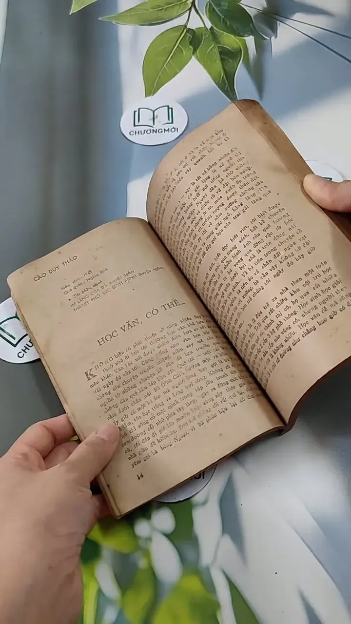 Hồi Nhỏ Các Nhà Văn Học Văn 713828