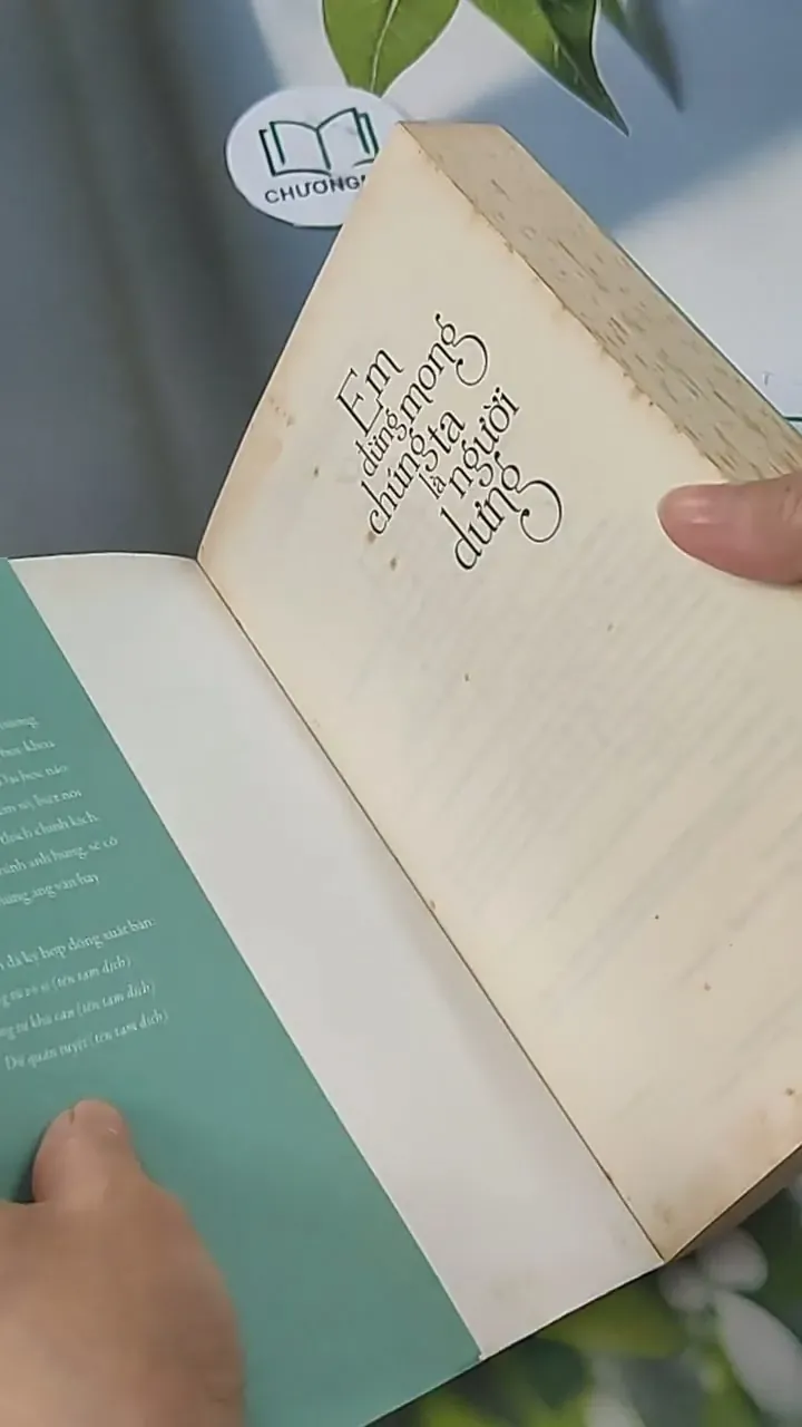 Em Đừng Mong Chúng Ta Là Người Dưng - Duy Hoà Tống Tử 705585