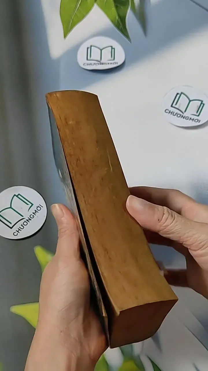 [MIỄN PHÍ BỌC SÁCH] The Saxon Shore - Jack Whyte 703080