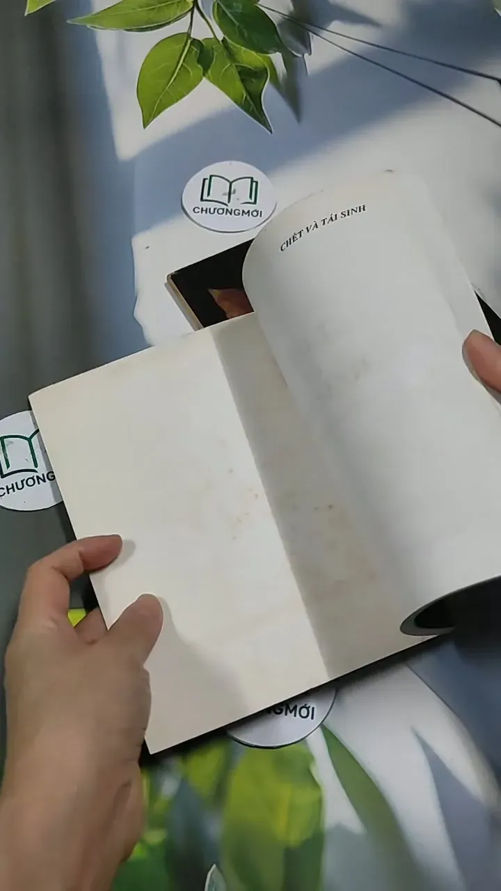 Combo: Chết và Tái Sinh, Mục Tiêu Của Cuộc Sống 707248