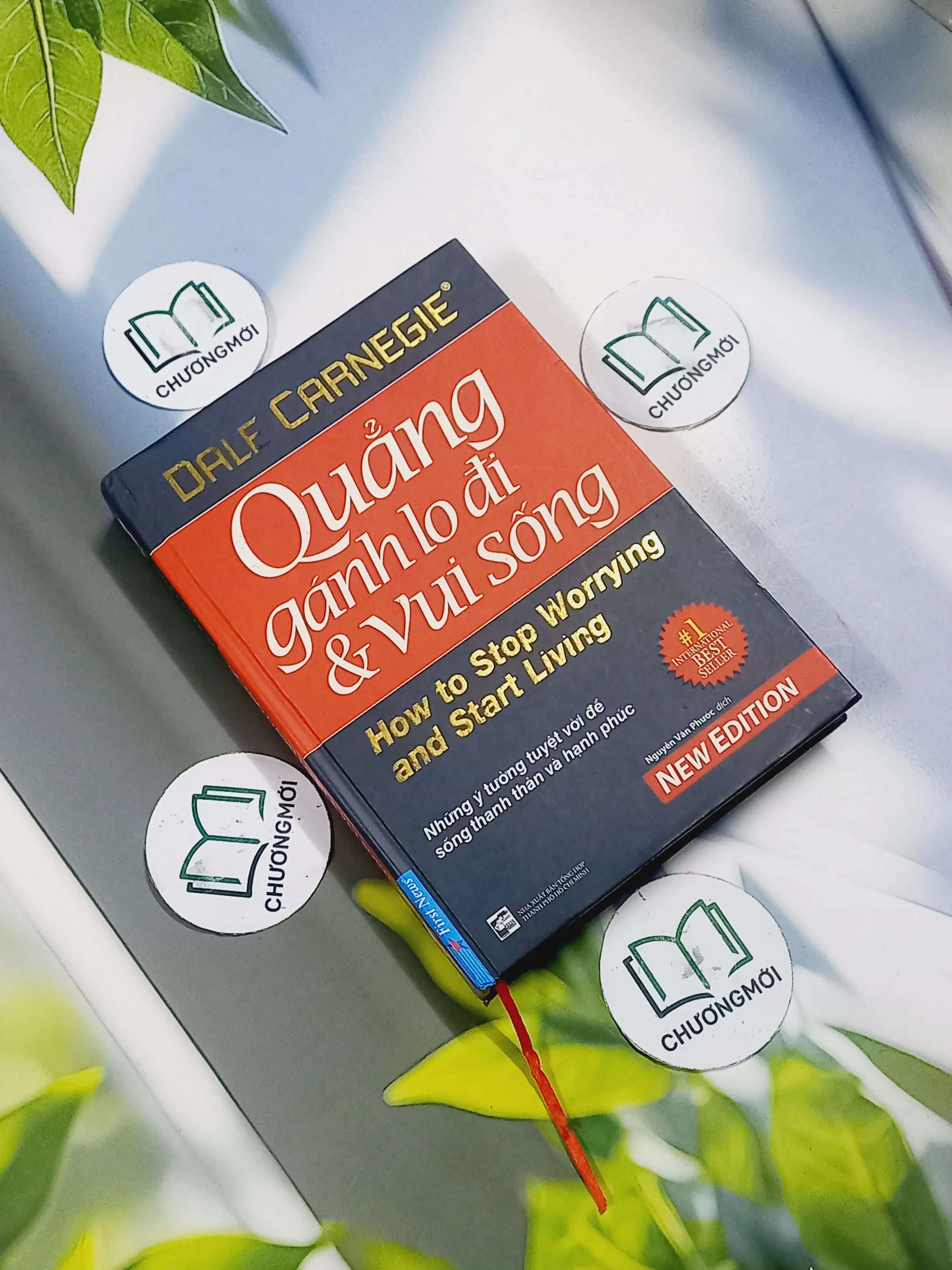 Quẳng Gánh Lo Đi & Vui Sống - Dale Carnegie