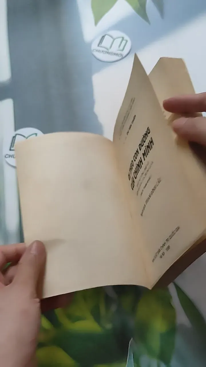 [XƯA] Đi Theo Con Đường Của Chính Mình - Thiết Kế Tổng Thể Về Hiện Đại Hoá Của Trung Quốc (1996) - Du Tân Thiên 787038