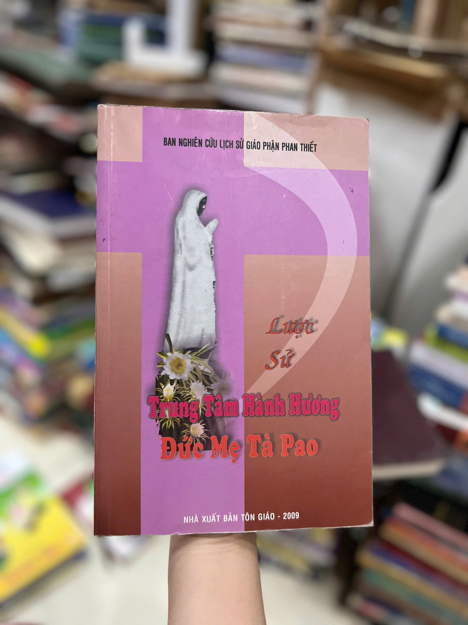 Lược Sử Trung Tâm Hành Hương Đức Mẹ Tà Pao