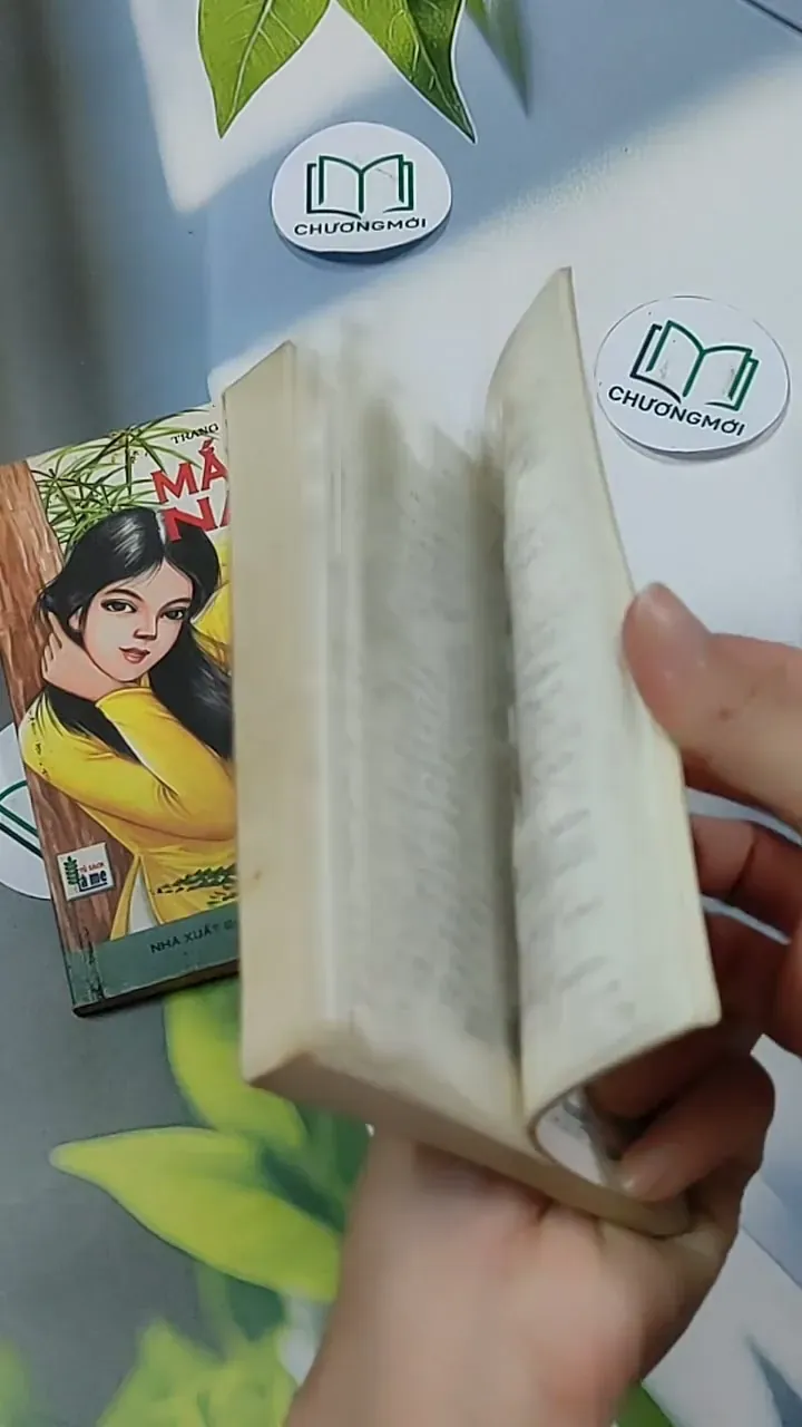 Combo: Mắt Nai, Tan Mây (Tủ Sách Lá Me) 703130