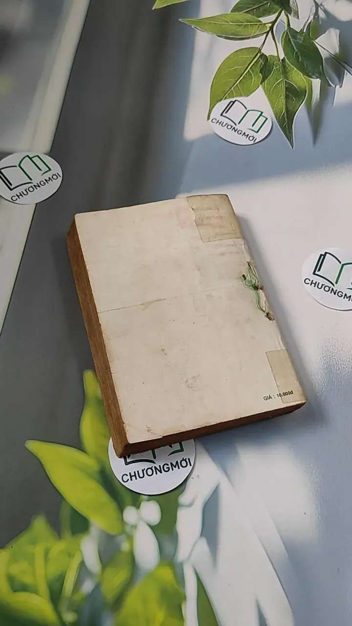 [XƯA] Lỗi Lầm (1991) - Đỗ Thị Thanh Vân 776065