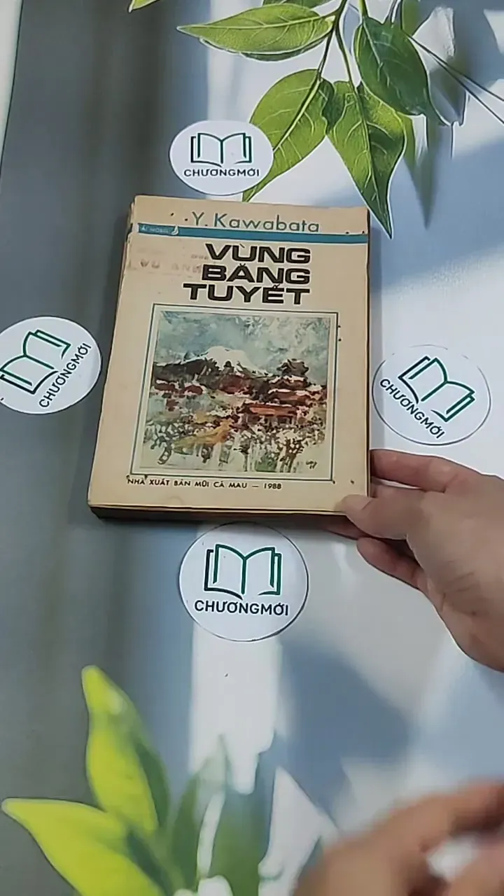 [MIỄN PHÍ BỌC SÁCH] Vùng Băng Tuyết (1988) - Y Kawabata 674973