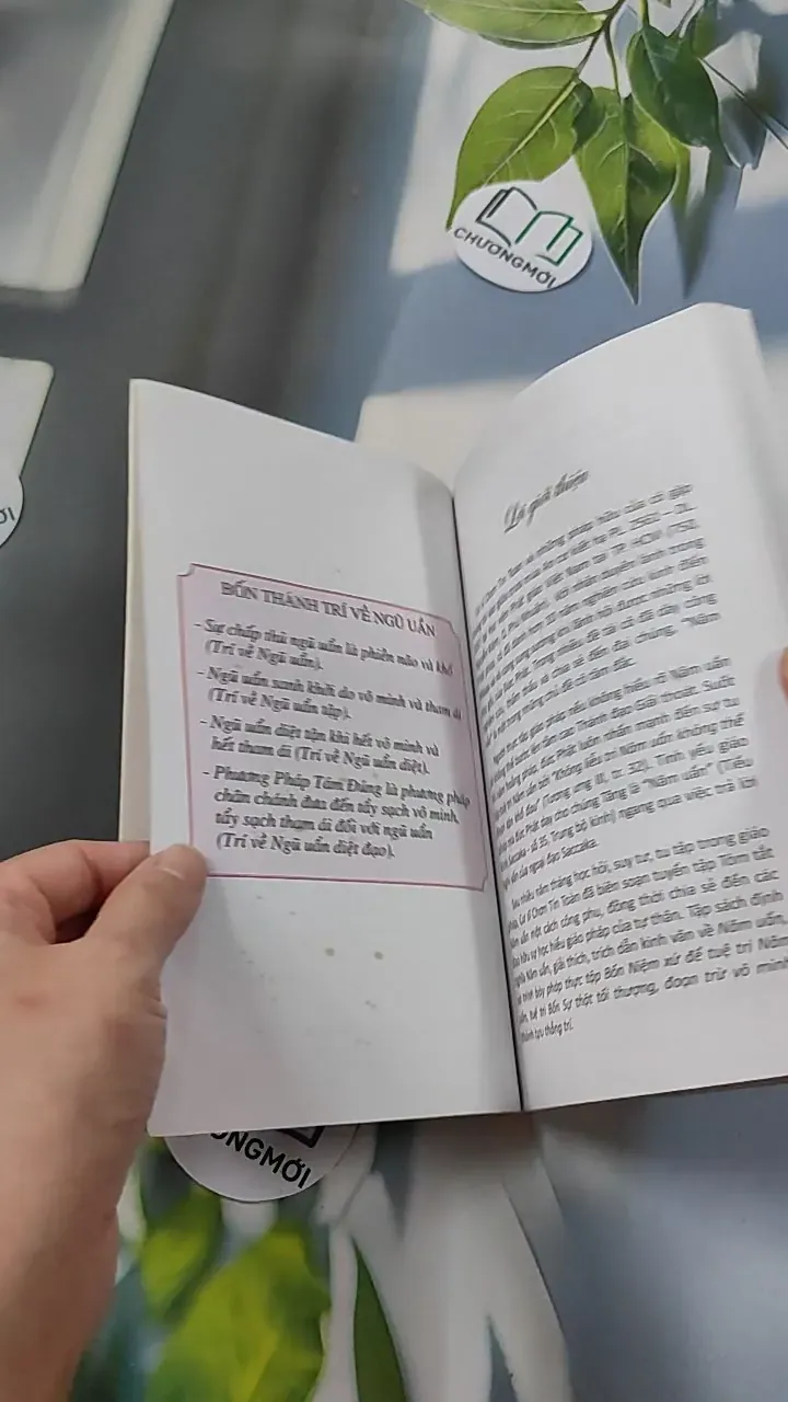 Tóm Tắt Năm Uẩn - Chơn Tín Toàn 776109