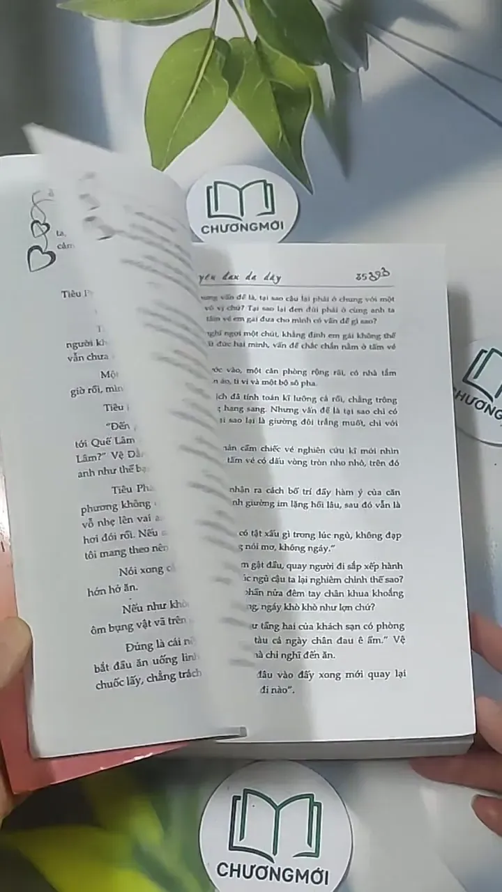 Tình yêu đau dạ dày - Điệp Chi Linh 688596