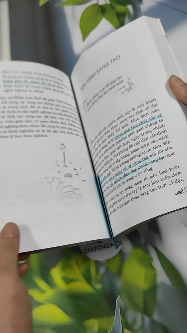 Hoa Sen Và Đầm Lầy - Hilda Lee Dail 787107