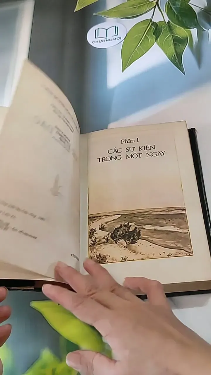 Nê-Bít-Đắc (1983) - Béc-dư Kéc-ba-ba-ep 607736