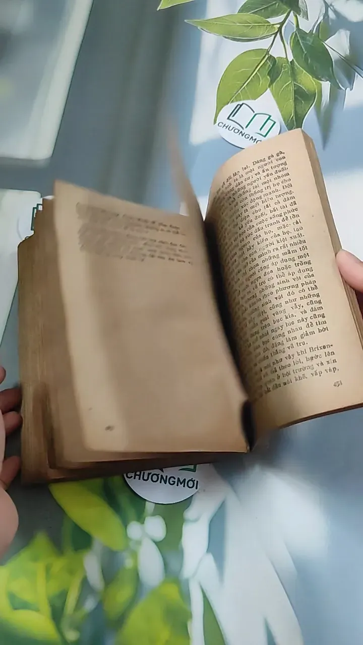 [MIỄN PHÍ BỌC SÁCH] [XƯA] Martin Eden (1986) - Jack London 776062