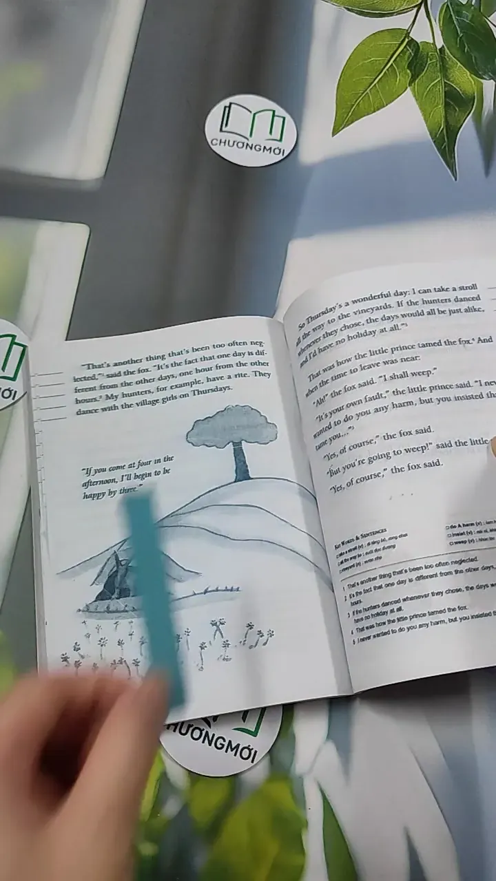 The Little Prince - 800 Words - Antoine de Saint-Exupéry 754533