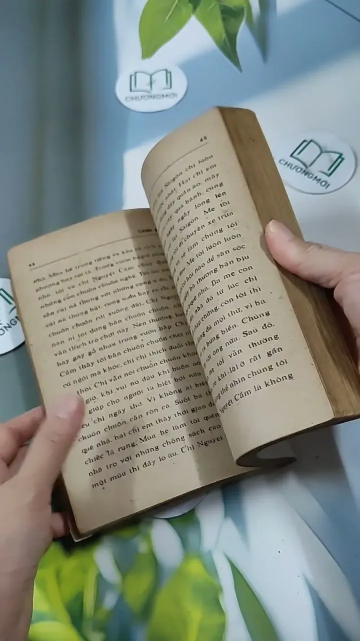 Cánh Bướm - Từ Kế Tường 713846