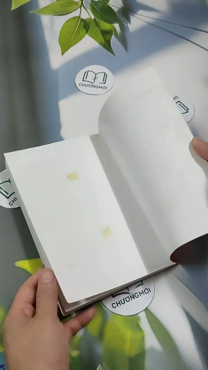 The Stranger - Norman Whitney 707313