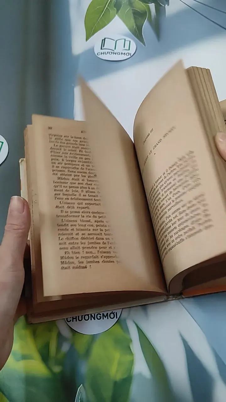 [MIỄN PHÍ BỌC SÁCH] En mission chez les bêtes - Pâquerette de Quénetain 749582