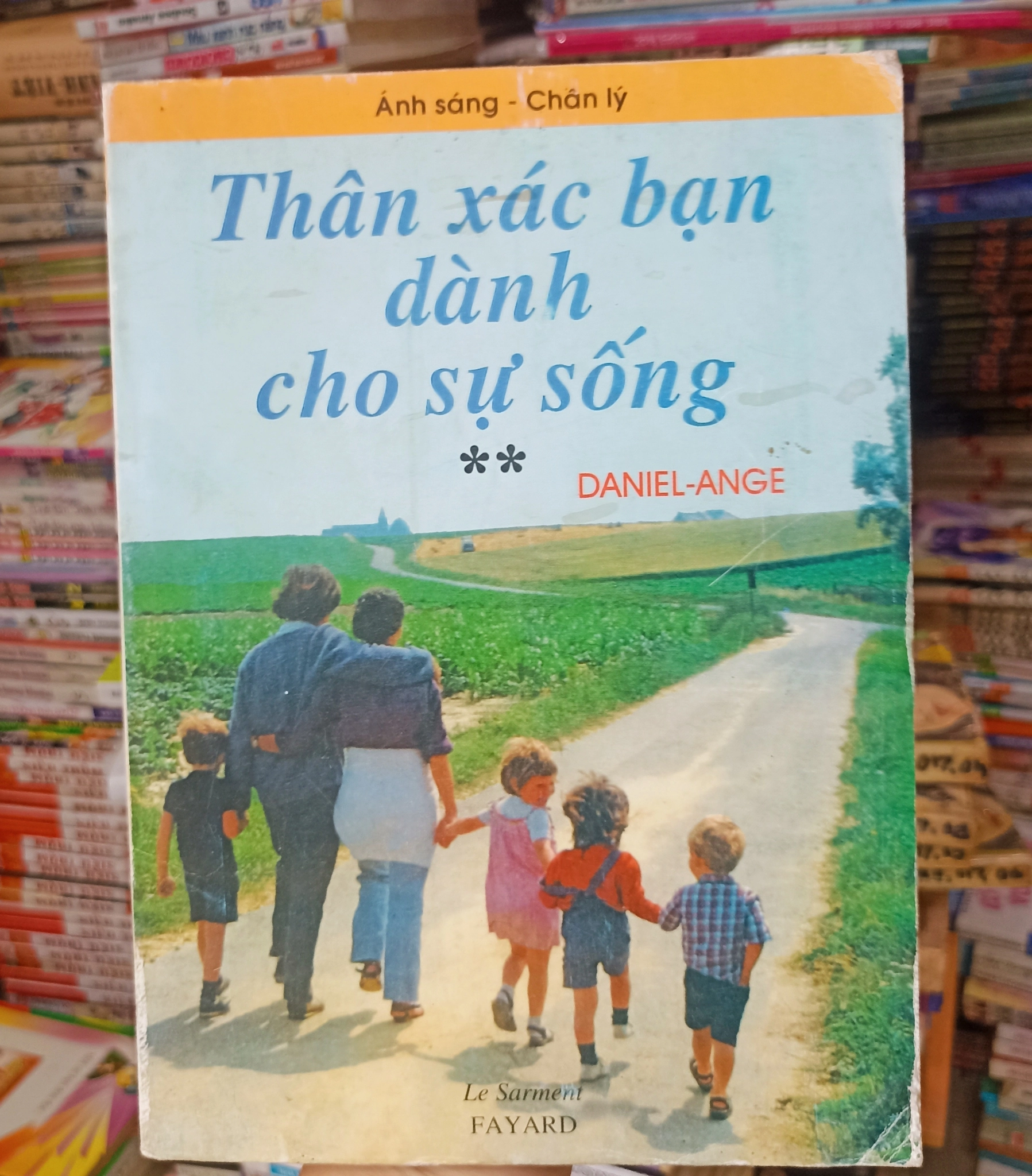Thân xác bạn dành cho sự sống 🌻 by Daniel Ange - Sách Book Cover - Ngọc Hiển Books