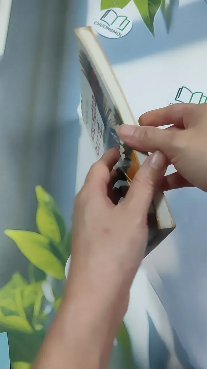 Khi hồng hạc bay về... và những điều mầu nhiệm - Ni sư Huyền Diệu 776205