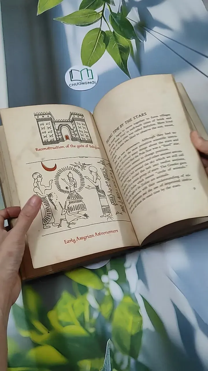 Clocks Tell the Time - Ocean House 750750