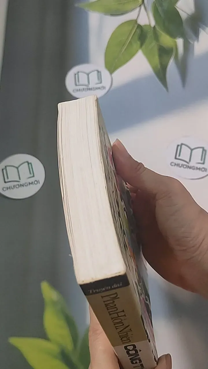 Công ty - Phan Hùng Nhiên 688482