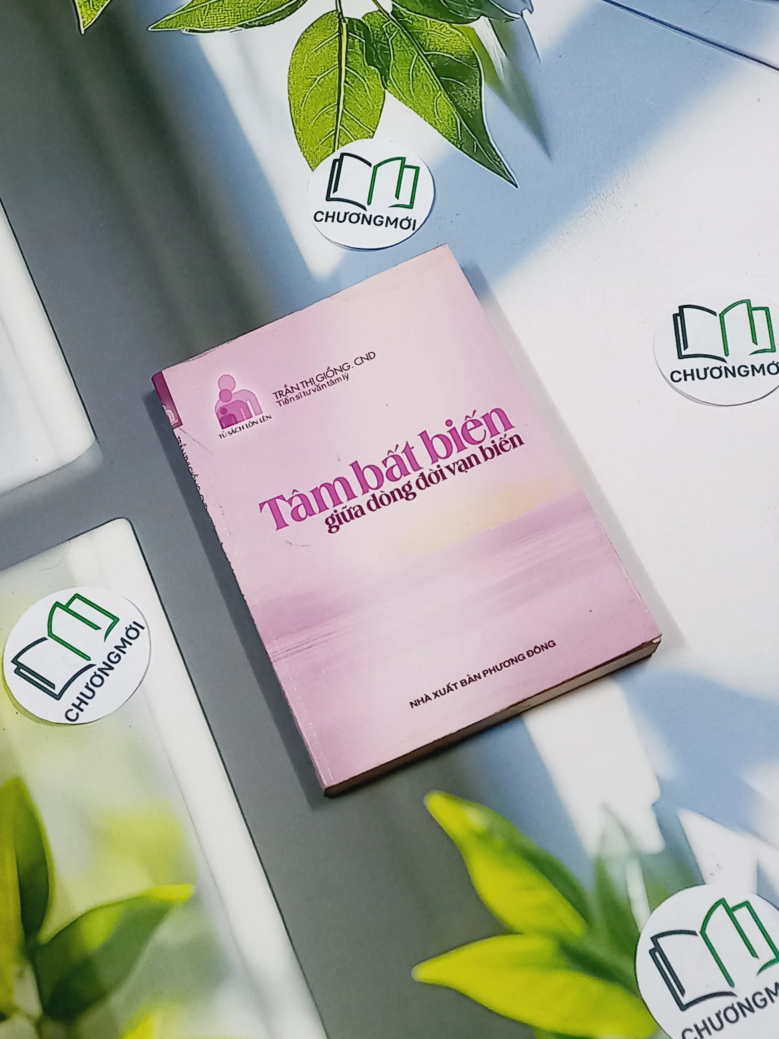 Tâm bất biến giữa dòng đời vạn biến - TS. Trần Thị Giồng