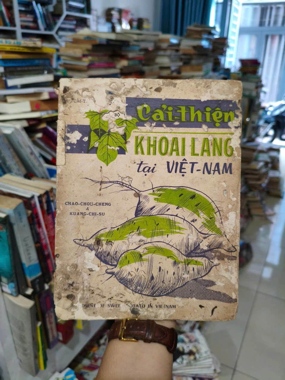 Cải Thiện Khoai Lang Tại Việt Nam by  - Sách Book Cover - Ngọc Hiển Books