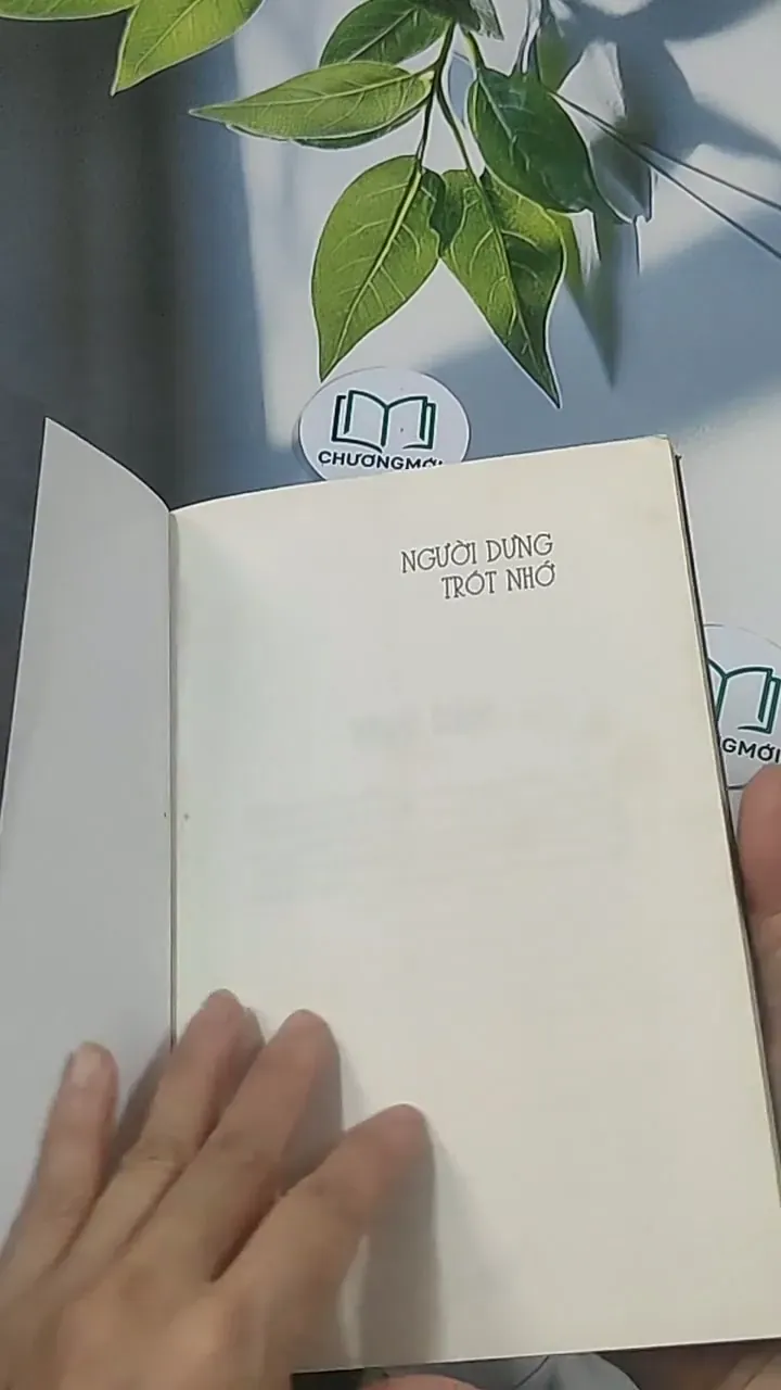 Người dưng trót nhớ - Quỳnh Thy 694933