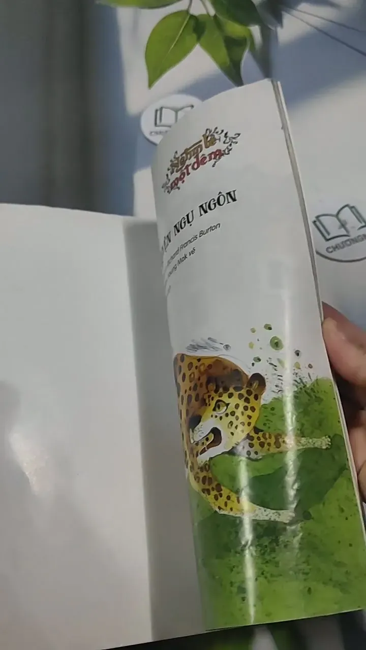 Truyện Màu Bài Học Từ Truyện Ngụ Ngôn 715646