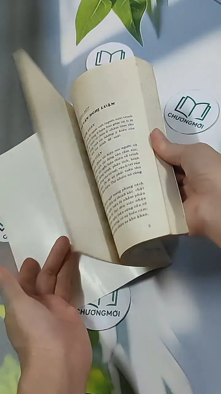 Rèn kỹ năng làm văn nghị luận - Bảo Quyên 698574