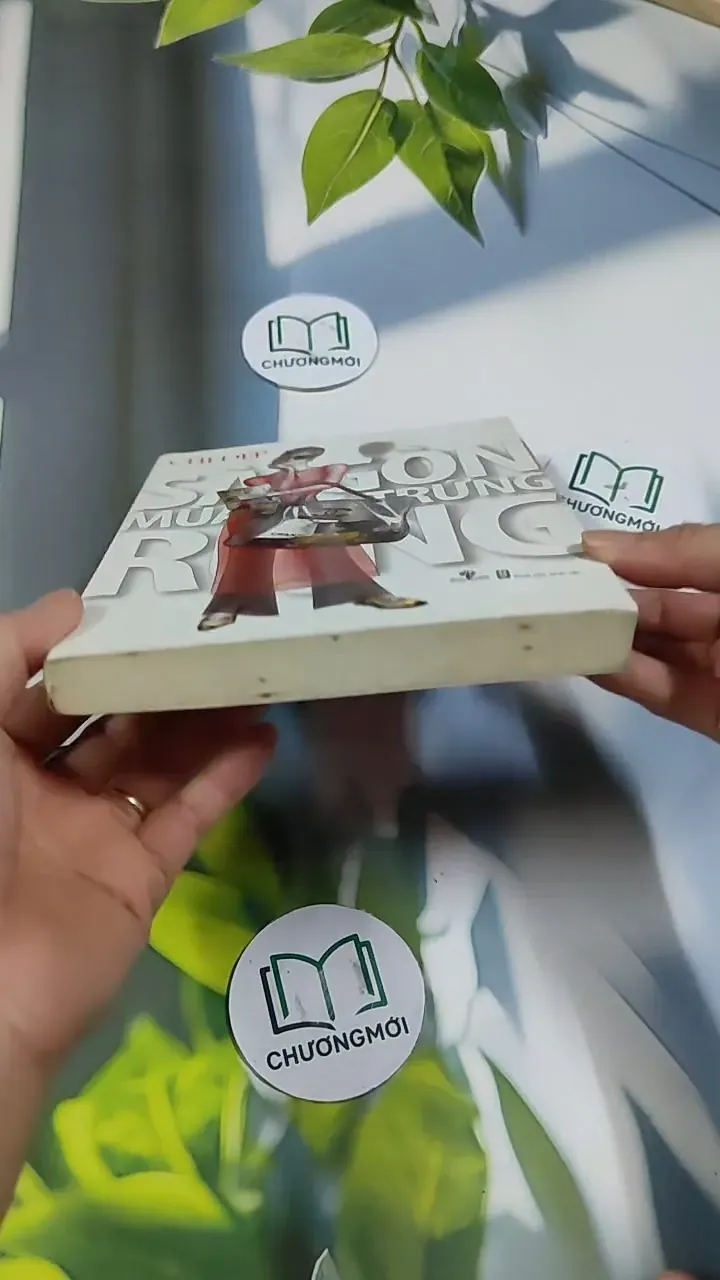 Sài Gòn Mùa Trứng Rụng - Chị Đẹp 705696