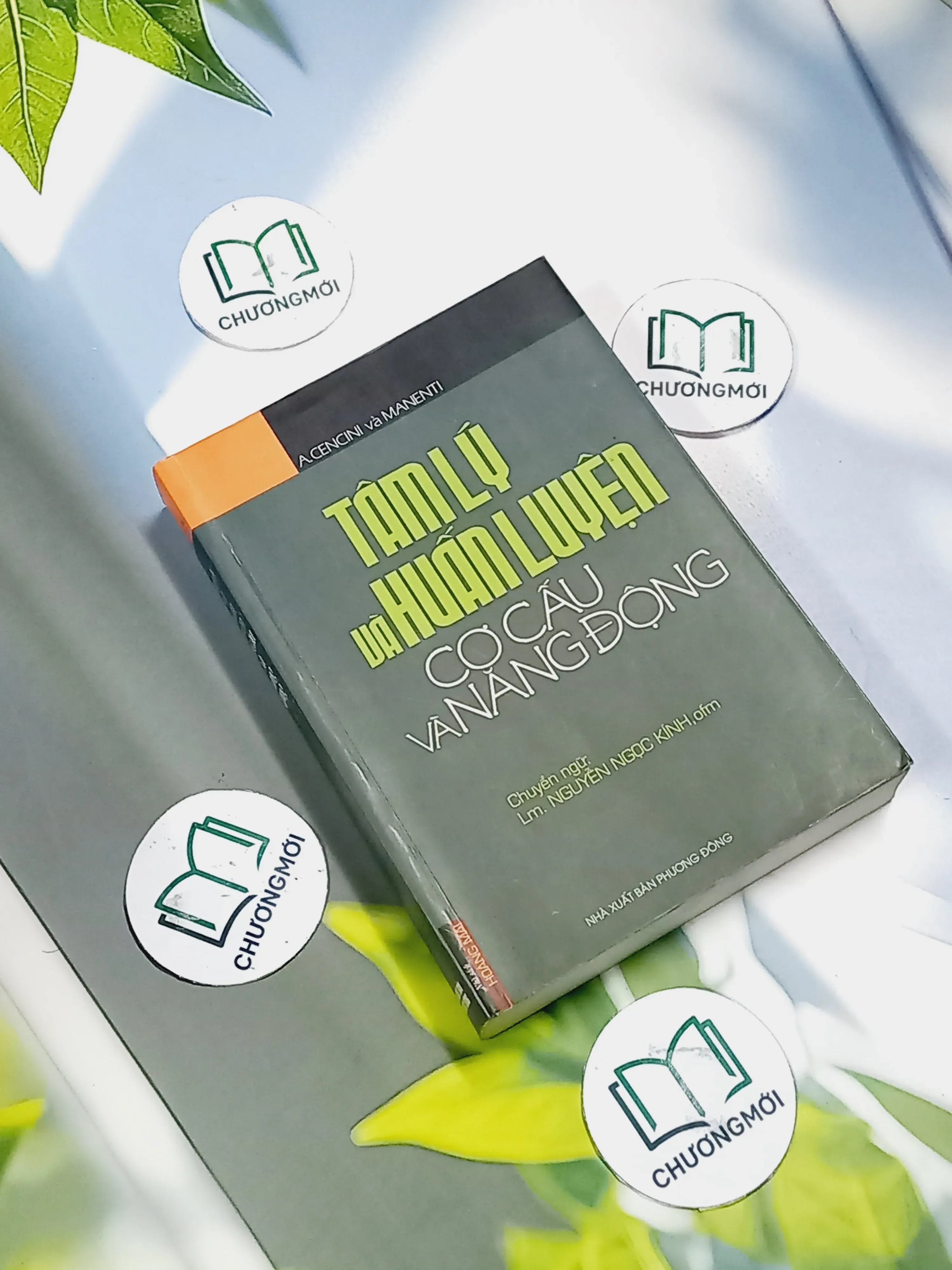 Tâm lý và huấn luyện: Cơ Cấu và Năng Động - Acencini Manenti