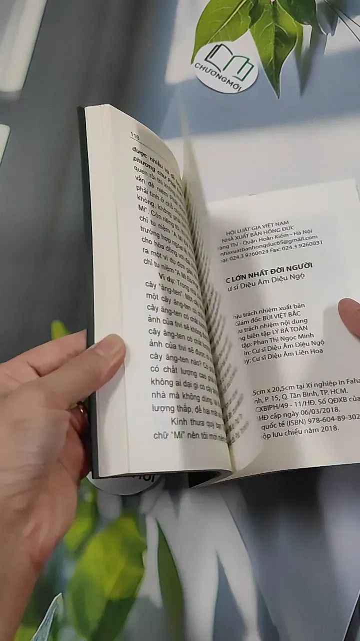 Việc Lớn Nhất Đời Người - Cư Sĩ Diệu Âm Diệu Ngộ 776134