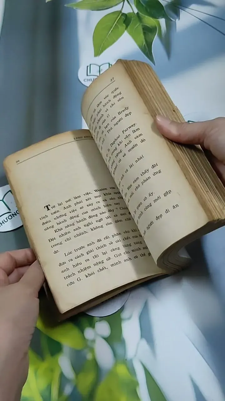 Gài Bẫy - Lynnerickson 713892