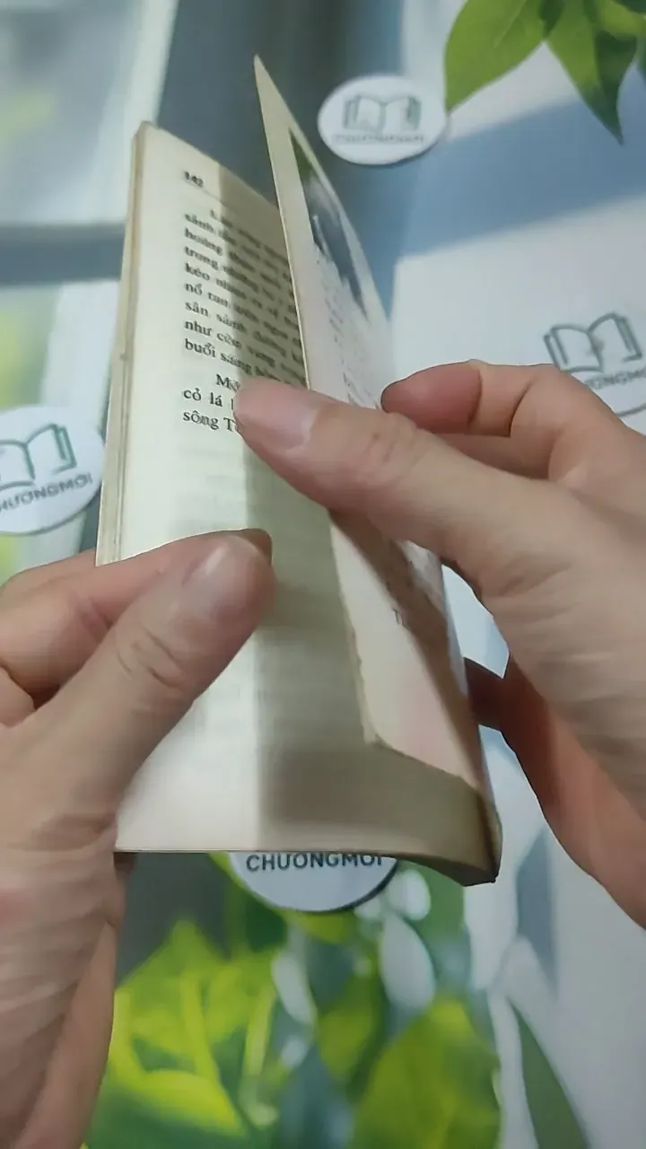 Đức Năng Thắng Số - Lê Phương Chi 727345