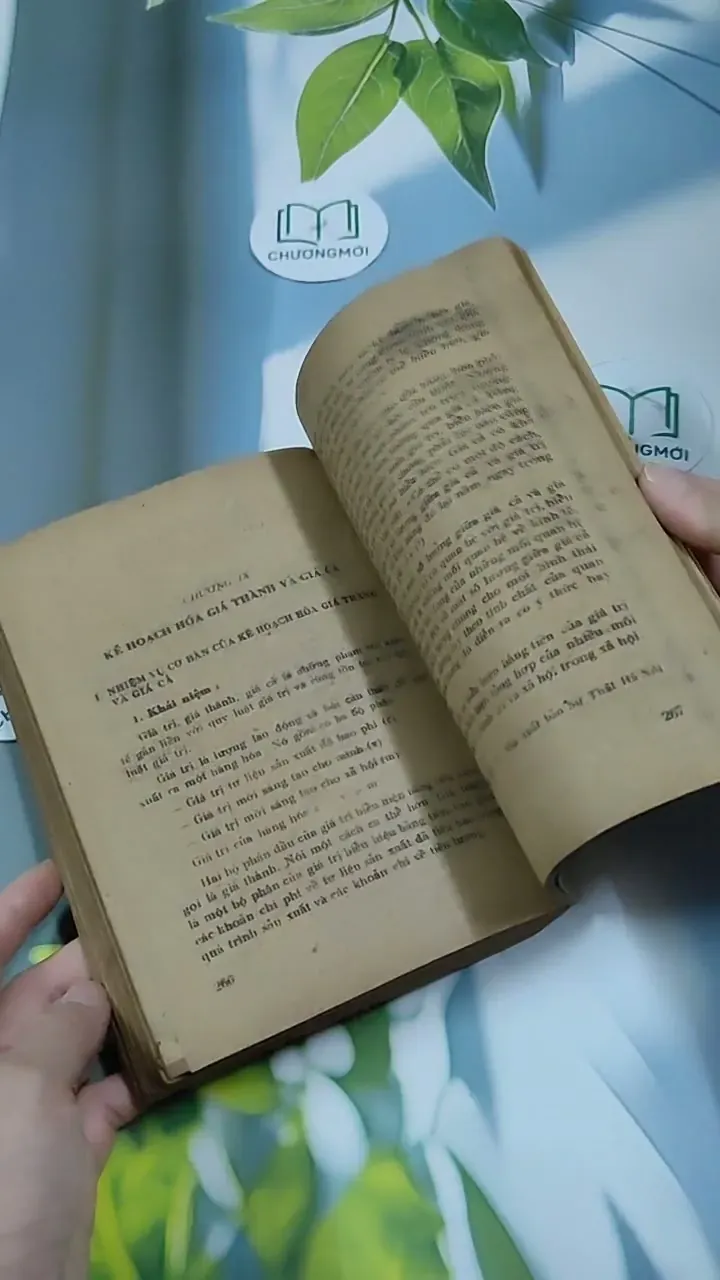 Kế Hoạch Hóa Kinh Tế Quốc Dân - Du Lô Giang 713884