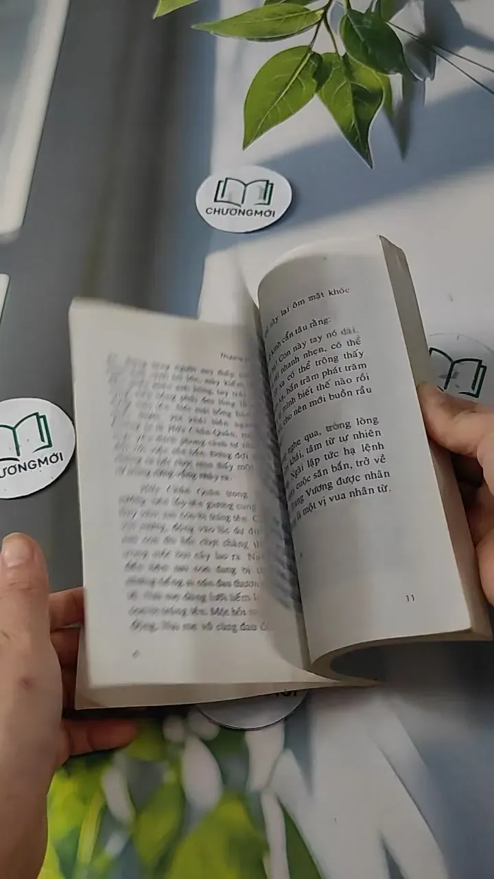 Thương Yêu Sự Sống - Tấn An 727266