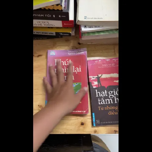 II Combo Sách: Phút Nhìn Lại + Hạt Giống Tâm Hồn _ Từ Những Điều Bình Dị