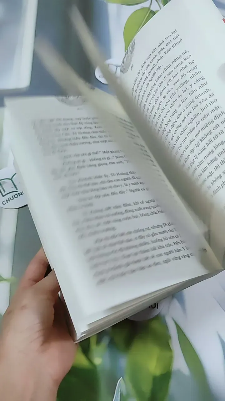 Nam Cực Tinh - Phong Duy 744707