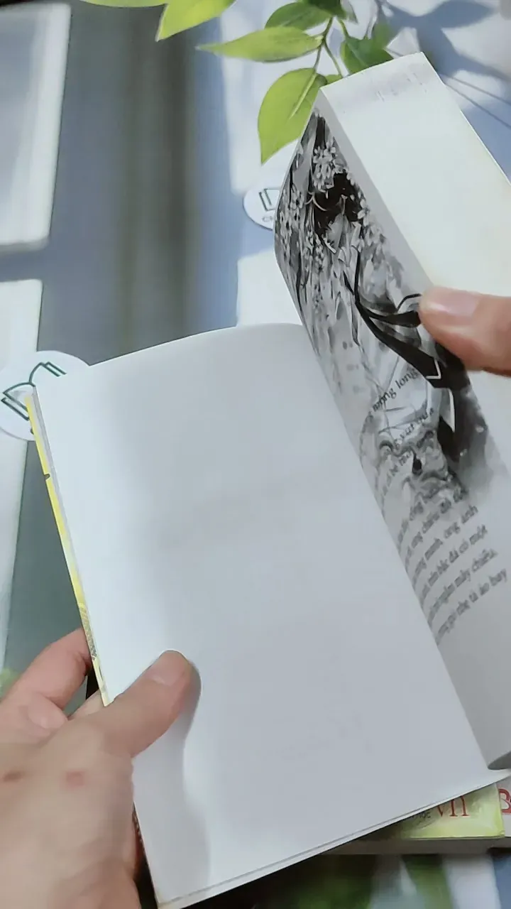 [MIỄN PHÍ BỌC SÁCH] Bong Bóng Mùa Hè - Bộ 3 Cuốn - Minh Hiểu Khê 744756