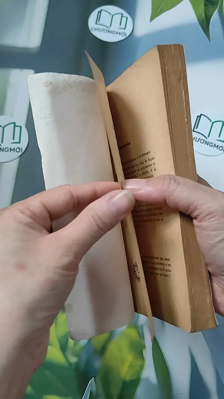 [MIỄN PHÍ BỌC SÁCH] [XƯA] Notre Chef le Christ (1938) - Chanoine Glorieux 754490