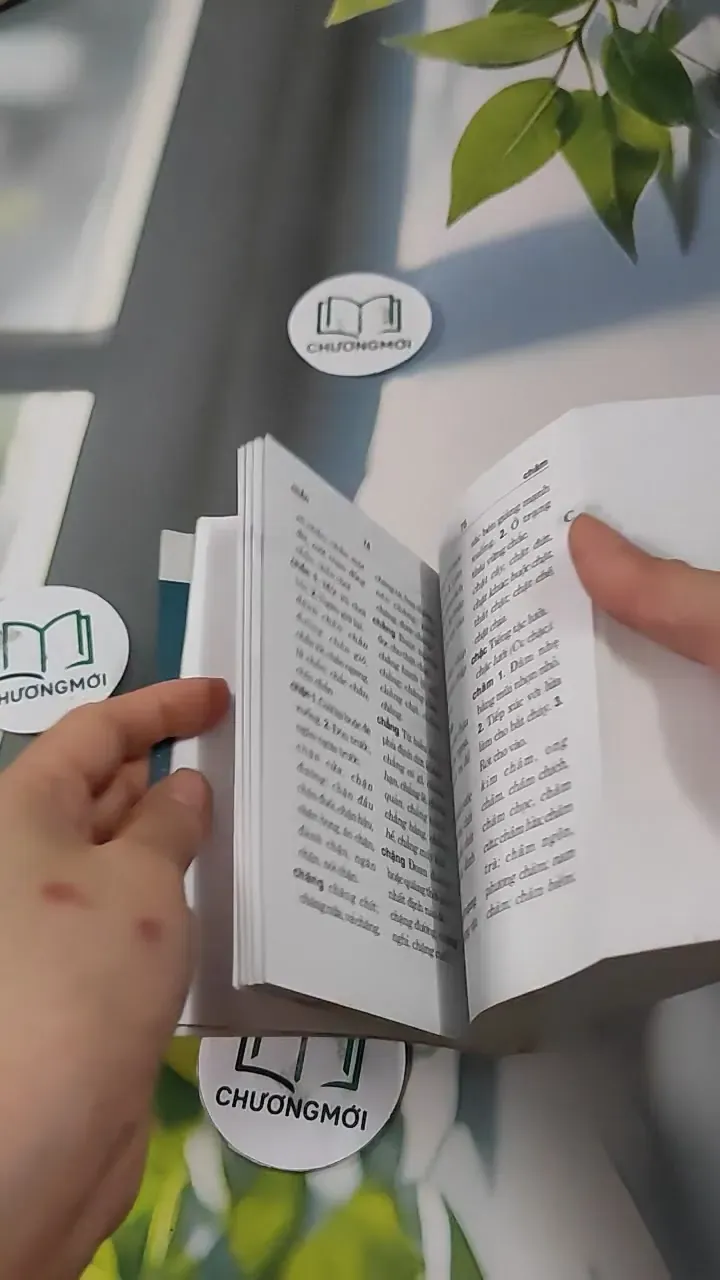 Từ Điển Chính Tả Tiếng Việt 727289