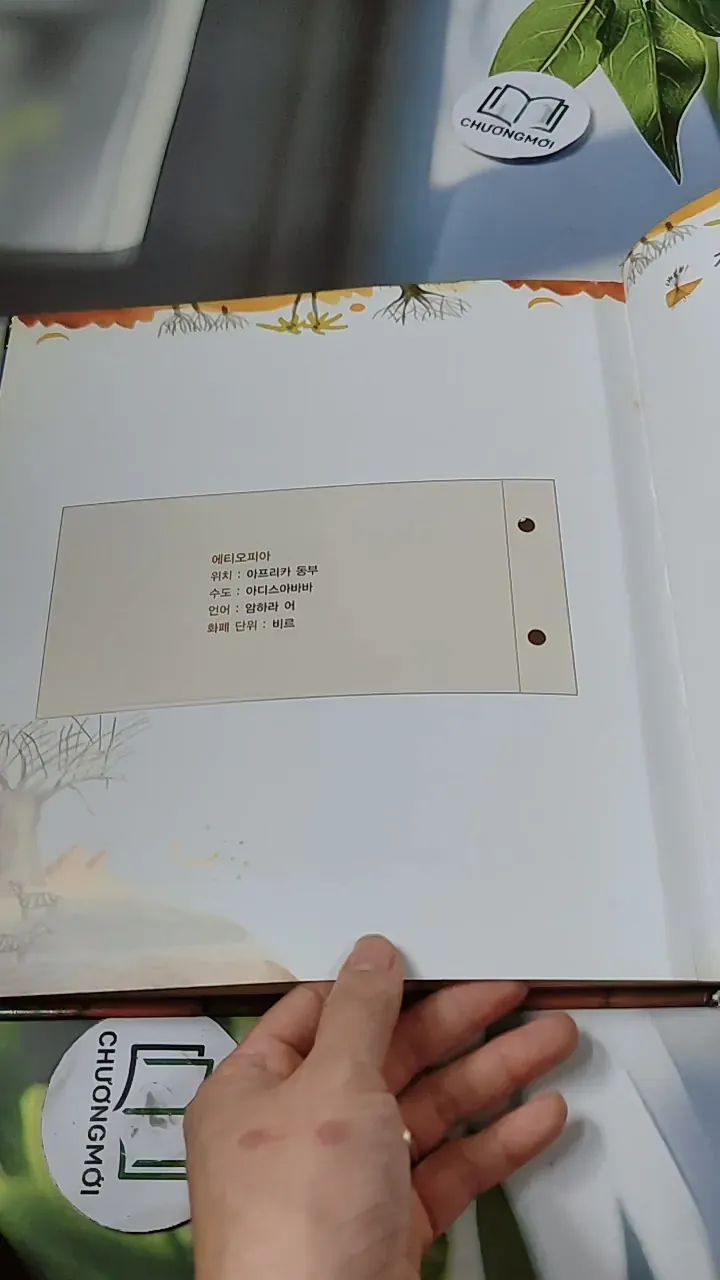 [Tặng nẹp góc] Truyện thiếu nhi Hàn Quốc: Moyamo Anu 60 -  모야모 아누와: 하늘에서 뚝 떨어진 영웅 732067