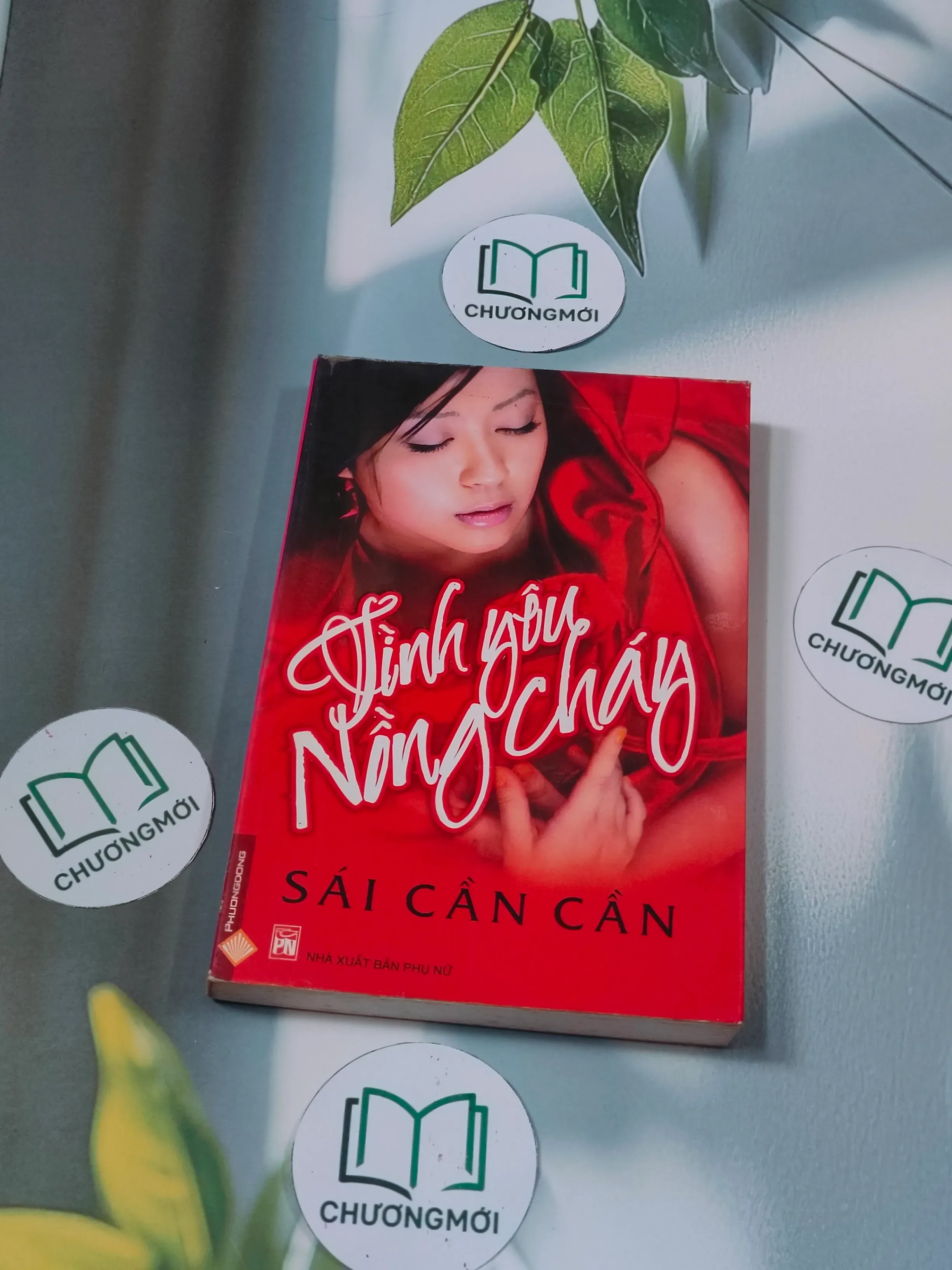 Tình yêu nồng cháy - Sái Cần Cần