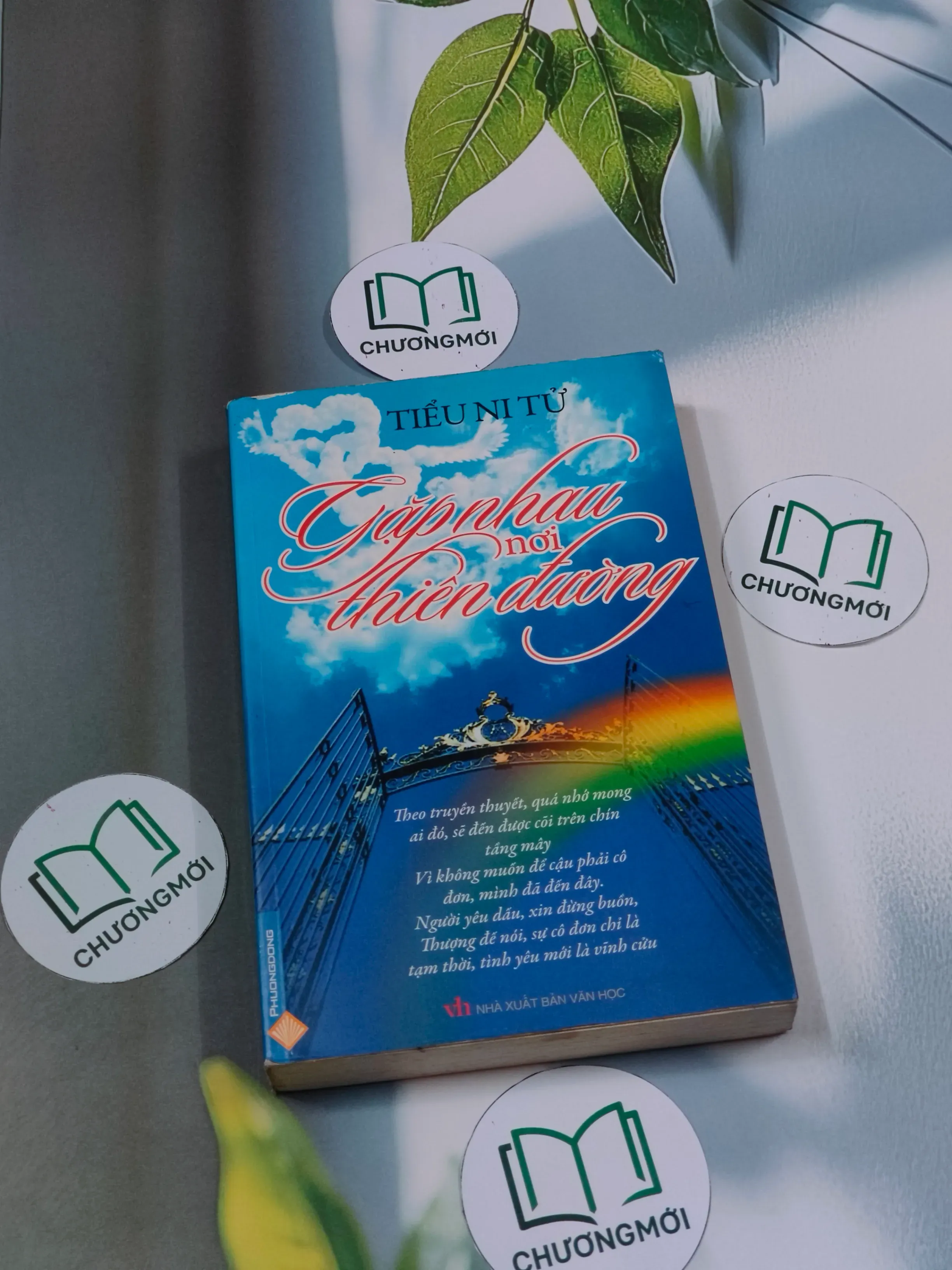 Gặp nhau nơi thiên đường - Tiểu Ni Tử