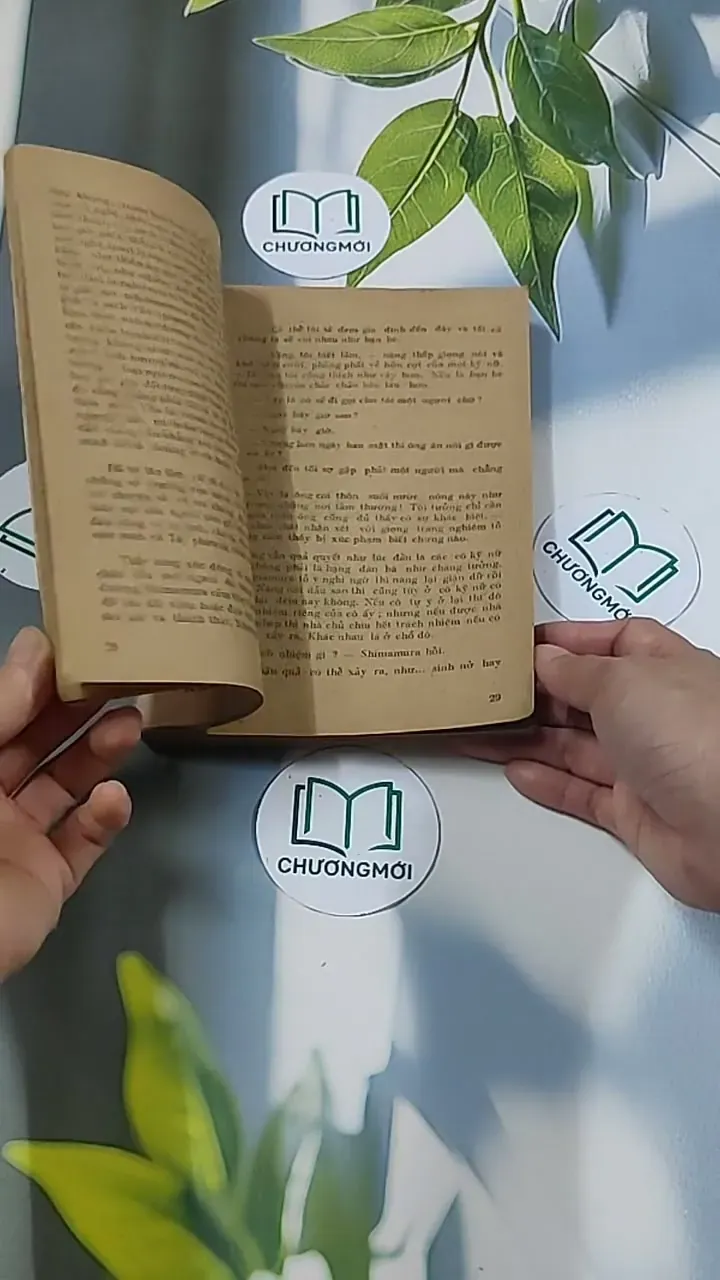 [MIỄN PHÍ BỌC SÁCH] Vùng Băng Tuyết (1988) - Y Kawabata 674973