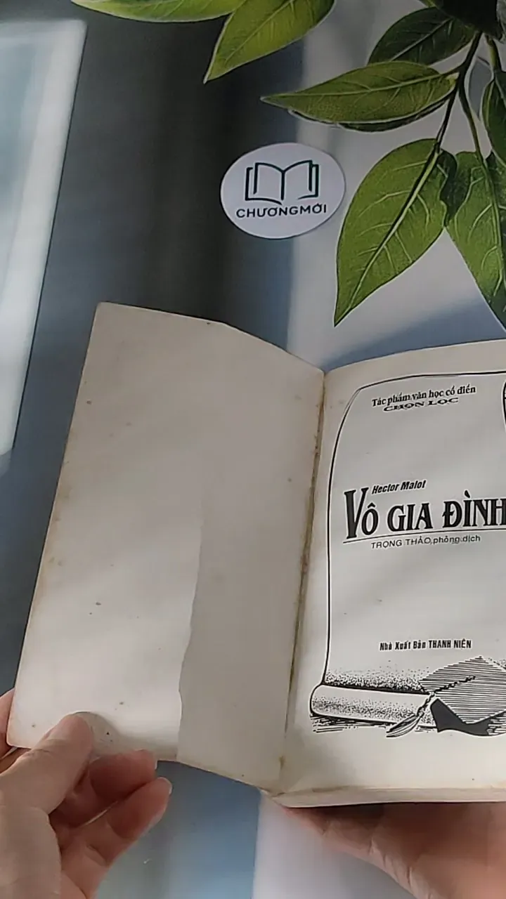 Vô Gia Đình (2001) - Hector Malot 607676