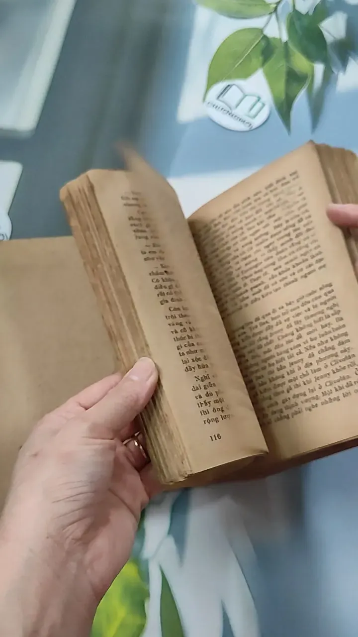 [XƯA] Jenny Ghechac 1 (1986) - Theodor Dreiser 776082