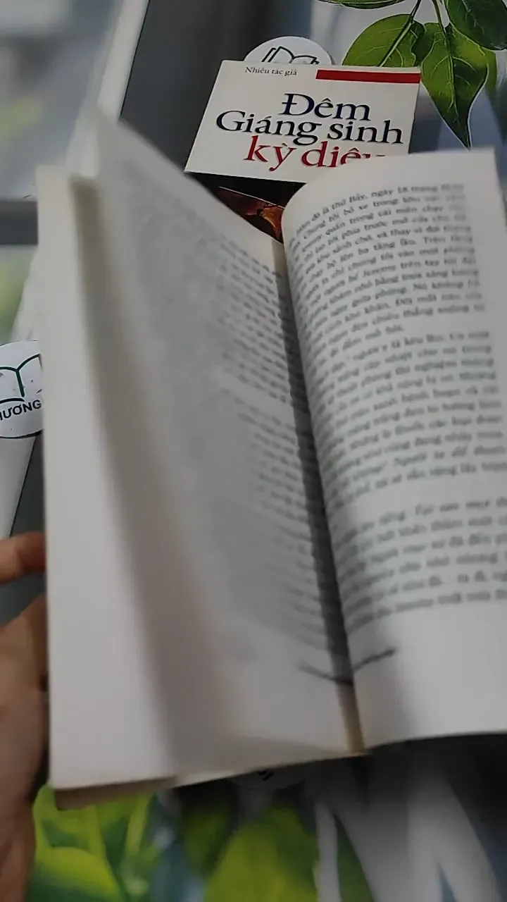 Combo Hạt Giống Tâm Hồn Quà Tặng Cuộc Sống: Giáng Sinh 727340