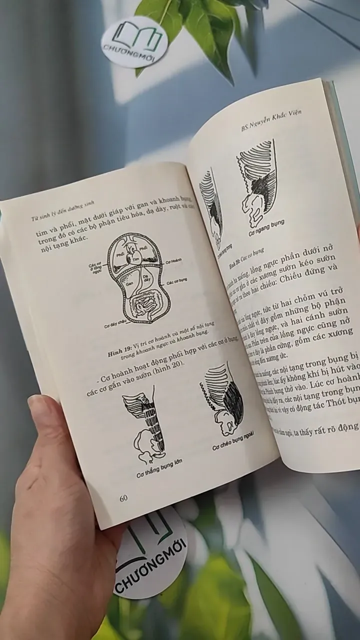 Từ Sinh Lý Đến Dưỡng Sinh - Nguyễn Khắc Viện 780815