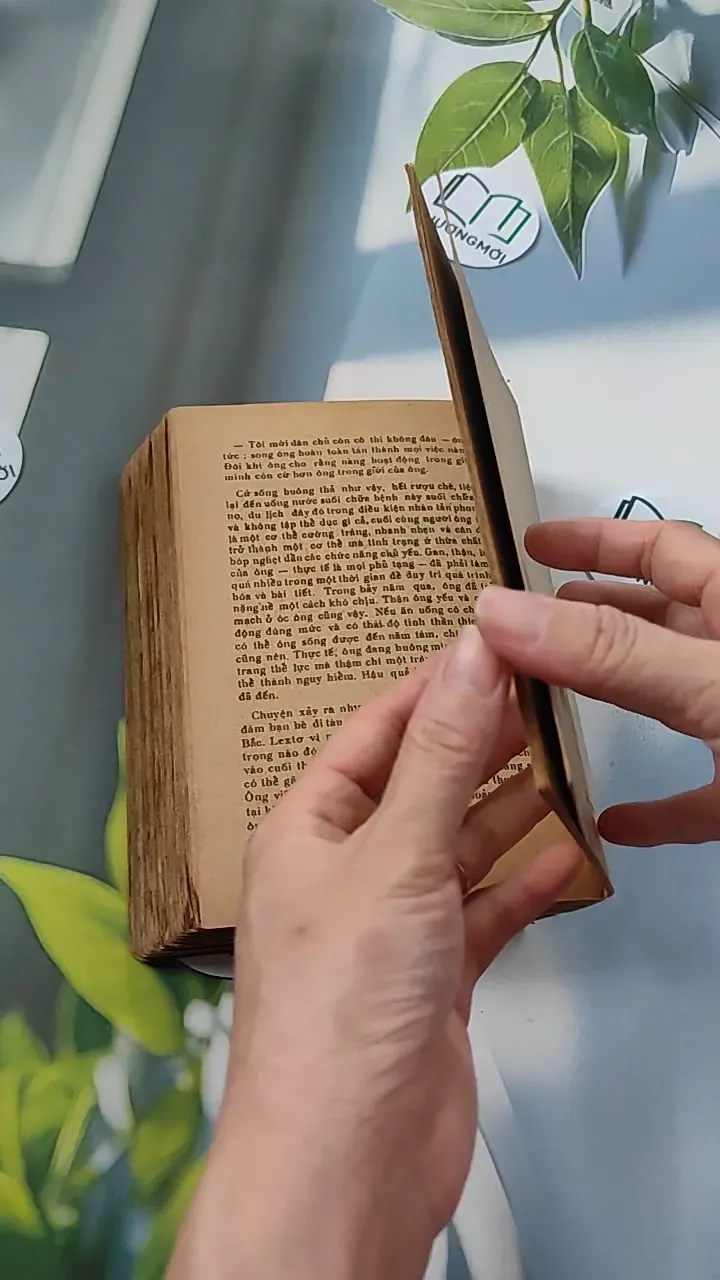 [XƯA] Jenny Ghechac 1 (1986) - Theodor Dreiser 776082